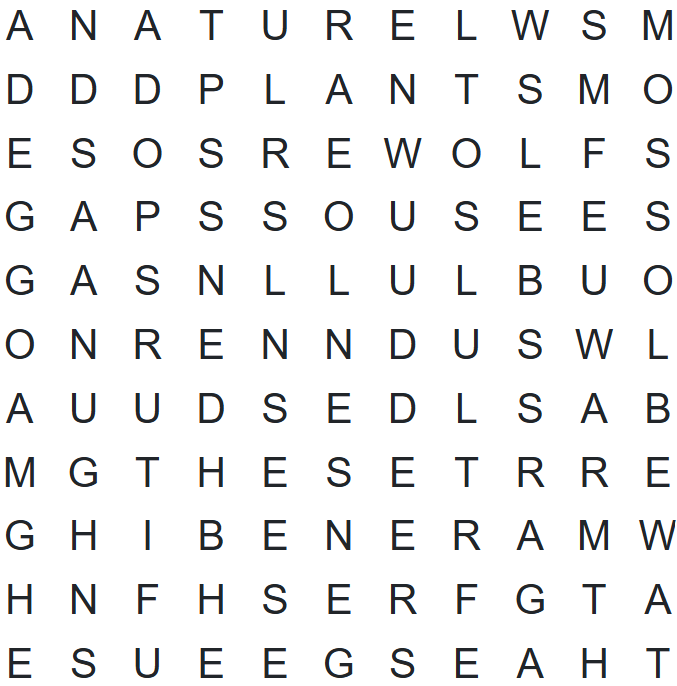 SMN Word Search 3/31/25