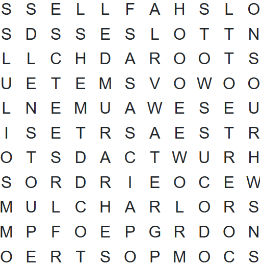 SMN Word Search 4/14/25