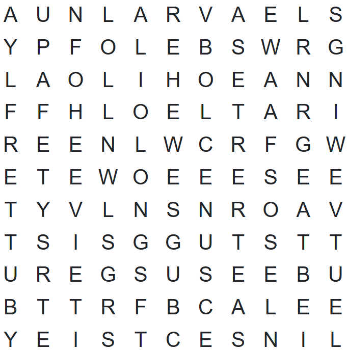 SMN Word Search 5/13/25