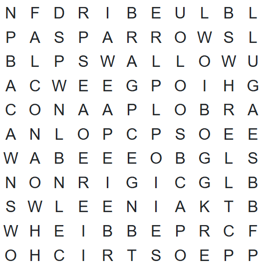 SMN Word Search 5/15/25