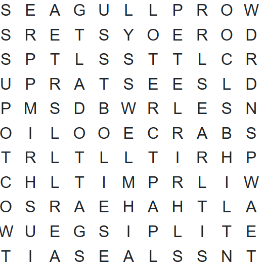 SMN Word Search 8/12/25