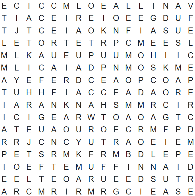 SMN Word Search 8/22/25