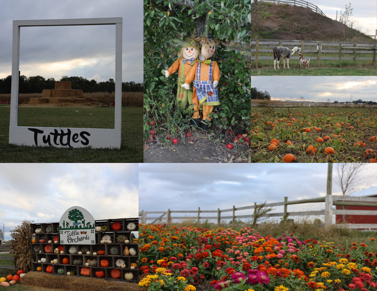 Tuttle’s Orchard