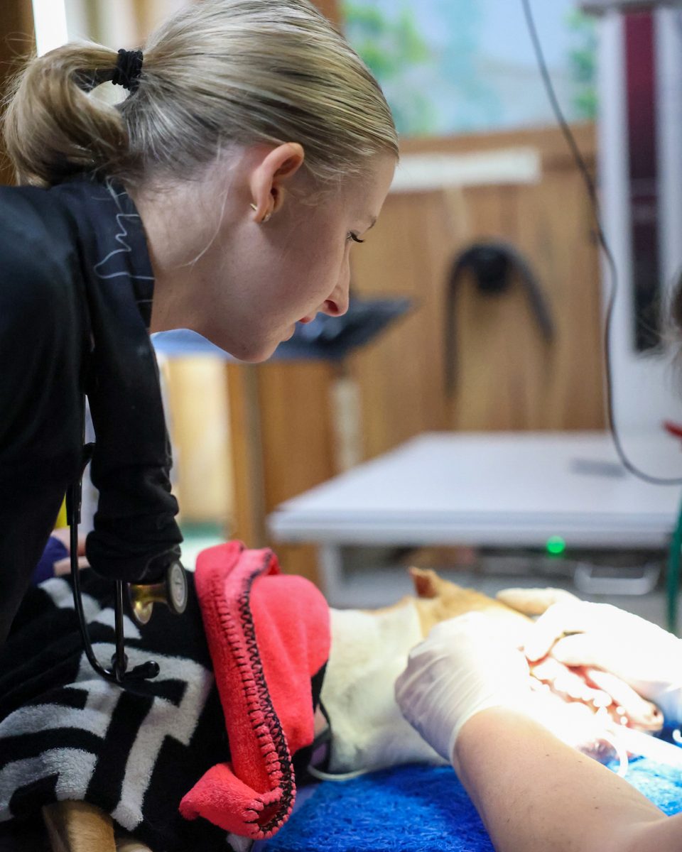 From Classroom to Clinic